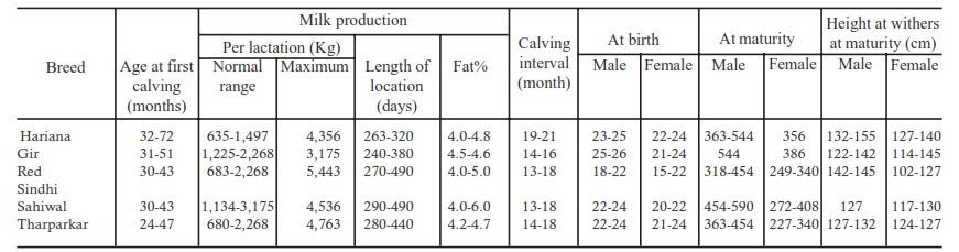 az ismert indiai szarvasmarha-fajták termelékenysége és jellemzői 