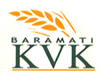 kvk_Barmati
