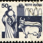 Indiadairy