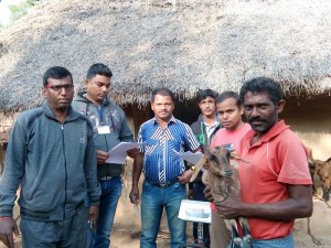 A team after completion of enrolment of a goat for the study